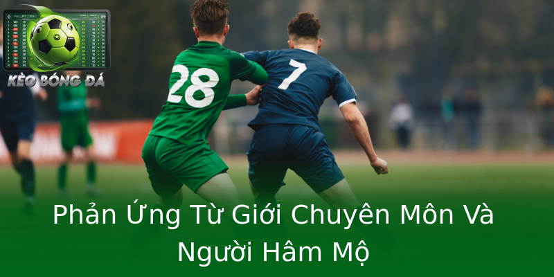 Phản Ứng Từ Giới Chuyên Môn Và Người Hâm Mộ