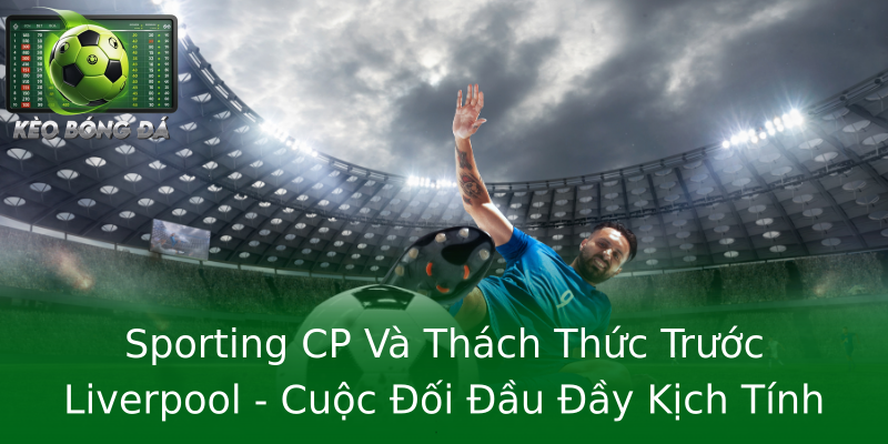 Sporting CP Và Thách Thức Trước Liverpool - Cuộc Đối Đầu Đầy Kịch Tính