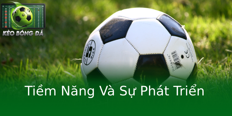 Tiềm Năng Và Sự Phát Triển