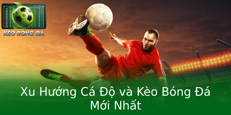 Xu Hướng Cá Độ và Kèo Bóng Đá Mới Nhất